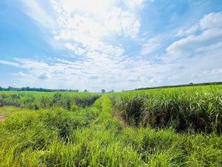Expansive rural landscape with lush green fields under a clear blue sky