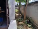 Narrow outdoor side yard with tree and debris