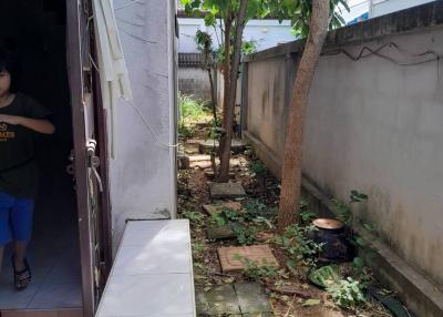 Narrow outdoor side yard with tree and debris