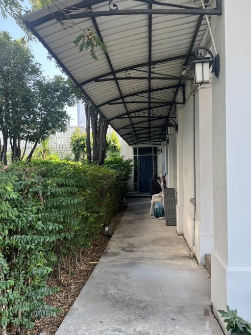 Walkway with a covered pathway and greenery outside a residential building