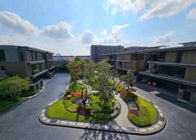 Lush communal garden between residential buildings