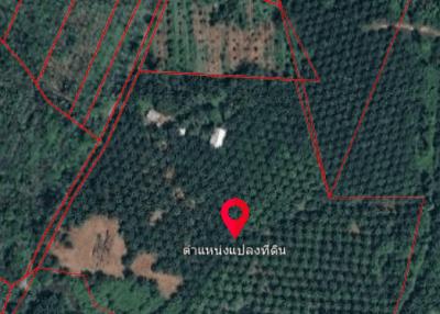 Land for Sale 44 rai in Tai Muang, Phang Nga
