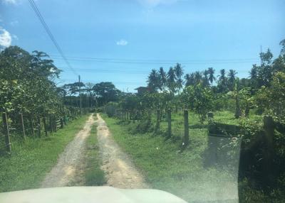 Land for Sale 1.24 Rai in Thalang, Phuket