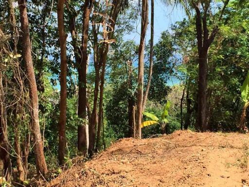 Seaview Land for sale17 Rai in Ko Sire,Phuket