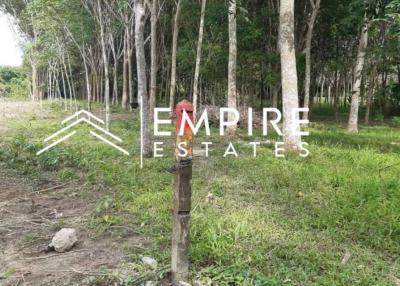 Land for Sale: 1 Rai in Pasak, Phuket