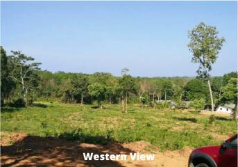 Land 5.5 Rai For Sale In Baan Para, Thalang, Phuket