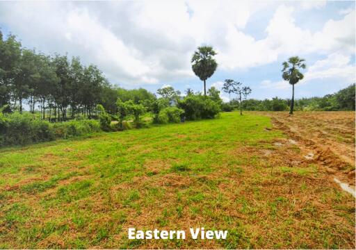 Land 5.5 Rai For Sale In Baan Para, Thalang, Phuket