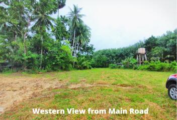 Land 5.5 Rai For Sale In Baan Para, Thalang, Phuket