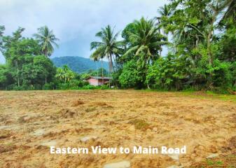 Land 5.5 Rai For Sale In Baan Para, Thalang, Phuket