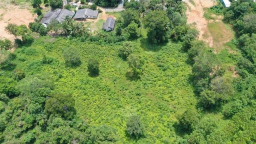 Land 7 Rai For Sale, Mai Khao, Phuket