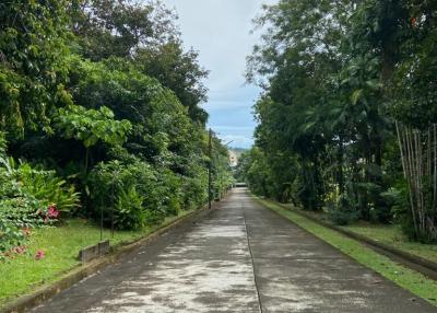 Land 1 Rai For Sale in Ratsada, Mueang Phuket