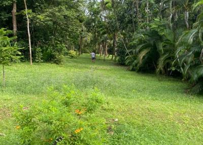 Land 1 Rai For Sale in Ratsada, Mueang Phuket