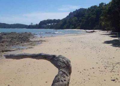 Beach front Land 74 Rai for sale in Ko Sire