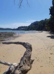 Beach front Land 74 Rai for sale in Ko Sire