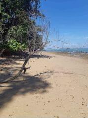 Beach front Land 74 Rai for sale in Ko Sire