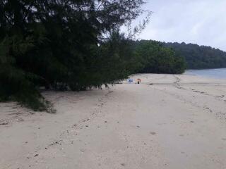 Land 84 Rai Next To Sandy Beach For Sale At Naka Yai Island Phuket