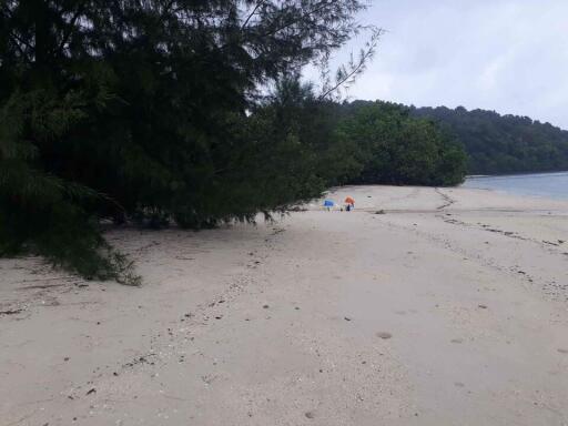 Land 84 Rai Next To Sandy Beach For Sale At Naka Yai Island Phuket