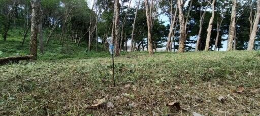 Large Land plot 36 Rai for sale in Naka Yai island
