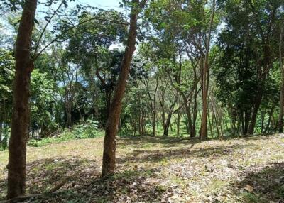 Large Land plot 36 Rai for sale in Naka Yai island