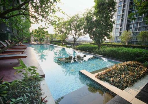 Condo for Rent at Ideo Mobi Sukhumvit 81