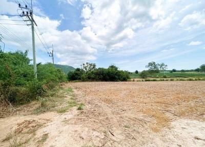 Open agricultural land with clear sky and utility poles