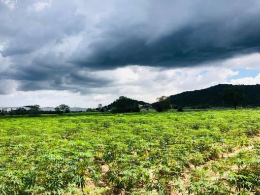 Expansive farm land with lush greenery under a stormy sky