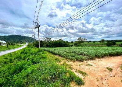Rural road with green fields under a cloudy sky