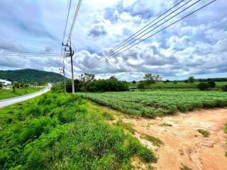 Rural road with green fields under a cloudy sky