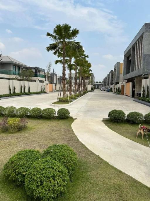 Lush green pathway in residential complex