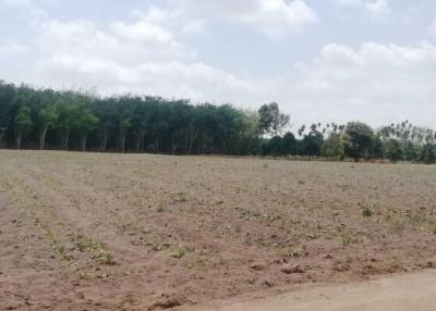 Spacious vacant land ready for development with clear skies and a treeline backdrop