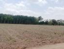 Spacious vacant land ready for development with clear skies and a treeline backdrop