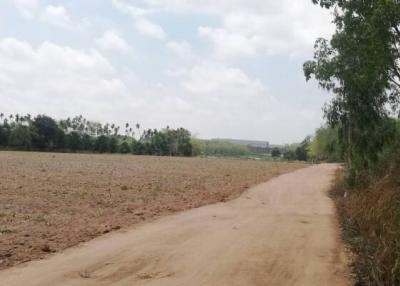 Empty plot of land with a dirt path alongside