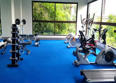 Spacious home gym with modern equipment and large window overlooking greenery