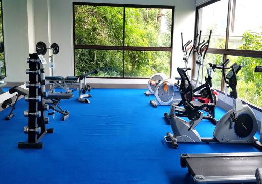 Spacious home gym with modern equipment and large window overlooking greenery