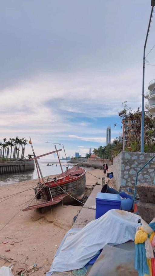 Riverside view with a moored boat and palm trees