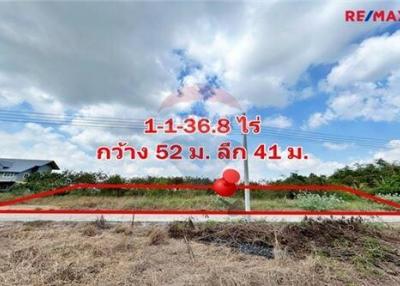 ที่ดิน 1-1-36.8 ไร่ หนองเพรางาย ไทรน้อย นนทบุรี - 920091001-686