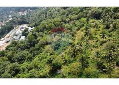 Sea View Land for Sale Developer Opportunity in Bophut