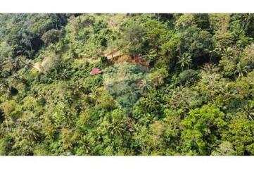 Sea View Land for Sale Developer Opportunity in Bophut