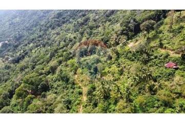 Sea View Land for Sale Developer Opportunity in Bophut