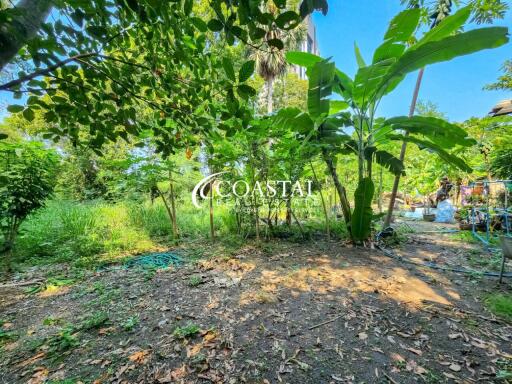 Land For Sale Pratumnak