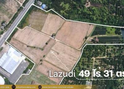 49 Rai Land for Sale and Mountain View