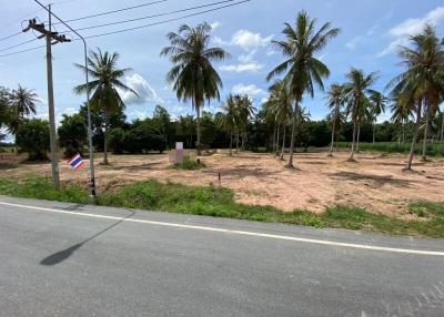 Empty land ready for development with palm trees and clear sky