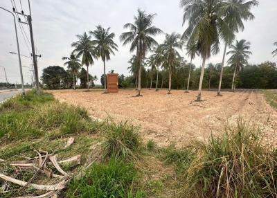 Vacant land with coconut trees and a clear sky