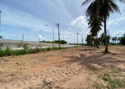Vacant lot with dirt ground and palm trees under a clear sky
