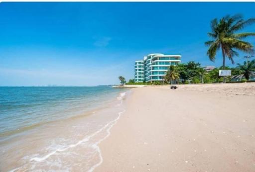 Beachfront view with modern apartment building and palm trees