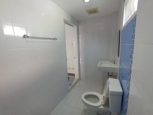 Modern bathroom with white and blue tiles and natural light