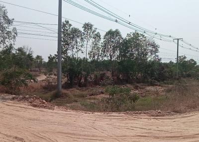 Dirt road with undeveloped land and electrical lines