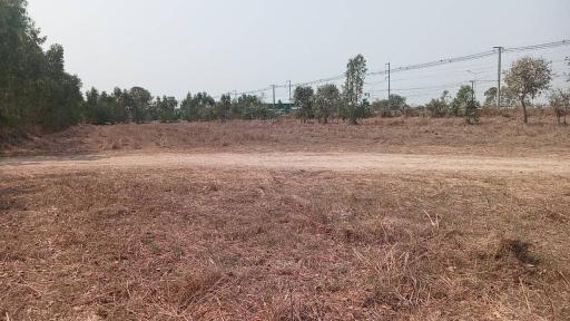 Empty land with dry grass and trees in the background near a rail line