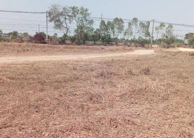 Empty land plot with dry grass and sparse trees in the background