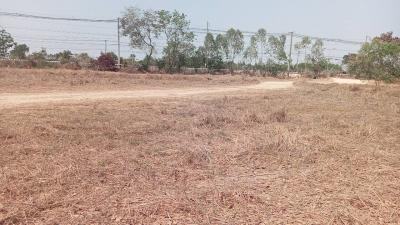 Empty land plot with dry grass and sparse trees in the background